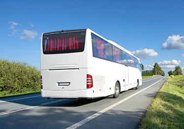 Busses, Trains